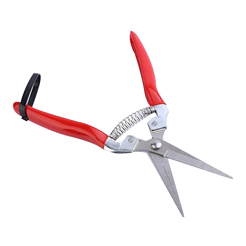 Hand Gardening Scissors For Greenhouse