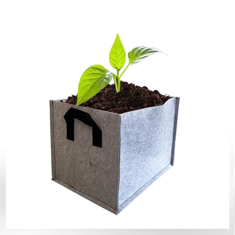 Square planting bag